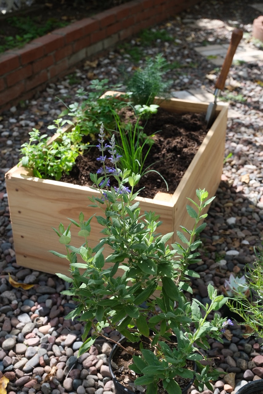 PRIMARY MEDITERRANEAN HERB PLANTER