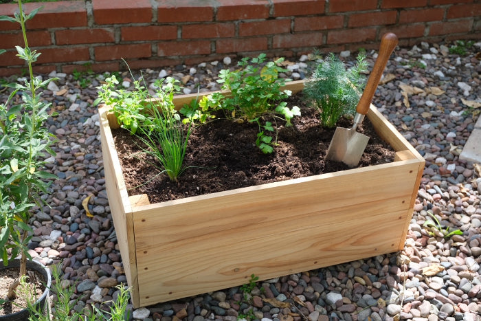 PRIMARY MEDITERRANEAN HERB PLANTER