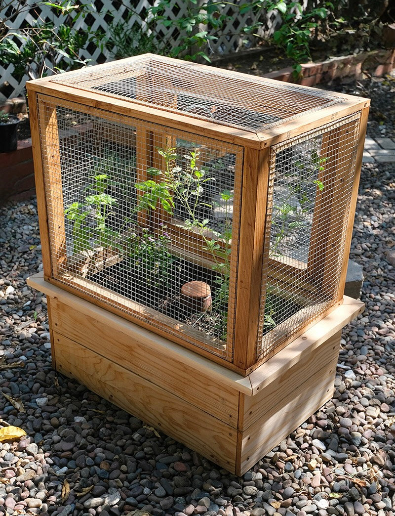 PRIMARY KITCHEN HERB PLANTER